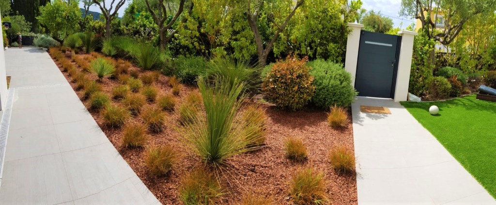 Massif végétalisé - plante adaptée peu arrosage