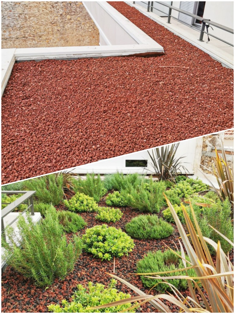 Vegétalisation massif roof top zone ensoleillée