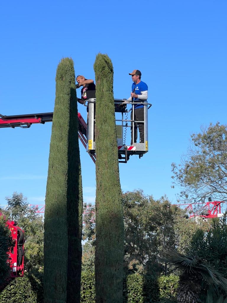 Cerclage de cyprès. Nacelle.